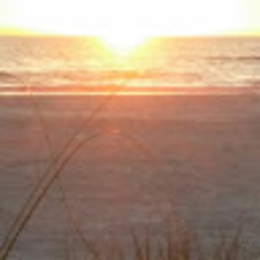 Meet your Posher, Jeff